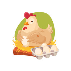 Chicken Nesting Laying Fresh Eggs, Farm And Farming Related Illustration In Bright Cartoon Style