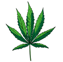 Cannabis leaf image hand drawn. Vector image.