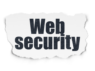 Privacy concept: Web Security on Torn Paper background