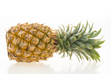 Pineapple fruit