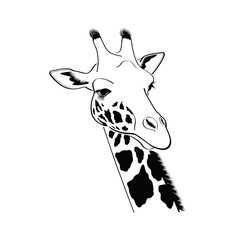 Giraffe head - vector illustration