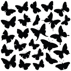Butterfly collection - vector silhouette