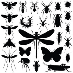 Insect icon collection - vector silhouette
