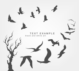 wedge of birds flying in sky