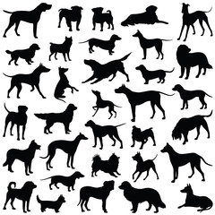 Obraz premium Dog collection - vector silhouette