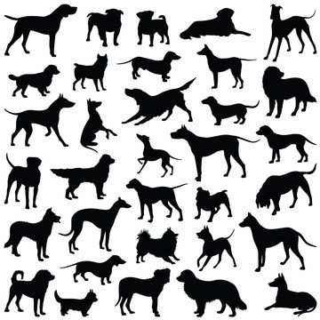 Dog collection - vector silhouette