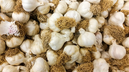 Group of dried organic garlics in a marketplace
