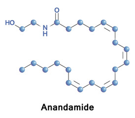Anandamide, or AEA, is a fatty acid neurotransmitter derived from the non-oxidative metabolism of arachidonic acid an essential omega-6 polyunsaturated fatty acid
