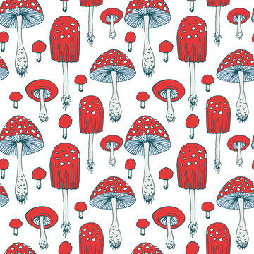 Seamless pattern with amanita forest mushrooms - vector outline hand drawn sketch. Collection of different mushrooms with roots, real eatable and poisoned boletus