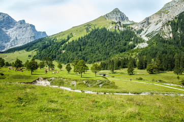 Fototapeta na wymiar Alpenpark Karwendel