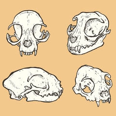 Cat Sculls