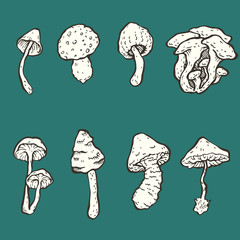 Mushrooms