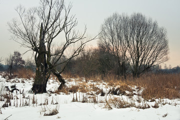 Zimowy krajobraz © Mariusz Stoszewski