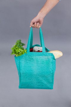 Hand Of A Woman Holding Grocery Bag