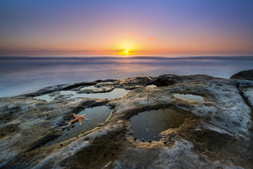 Starfish in a tide pool during a sunset 