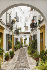 Cordoba (Andalucia, Spain): street