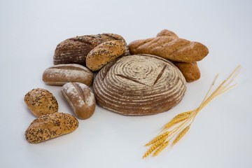 Different types of bread with wheat grains