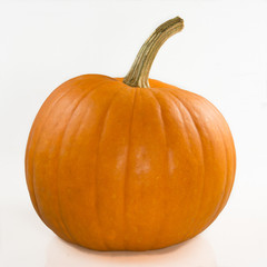 Orange pumpkin on a white background
