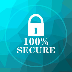 100 percent secure icon