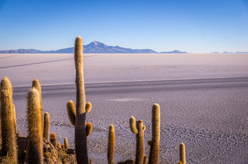 View from Isla Incahuasi, Uyuni, Bolivia
