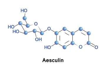 Aesculin is a coumarin glucoside that naturally occurs in the horse chestnut, California buckeye, Prickly Box and in daphnin. It is also found in dandelion coffee.