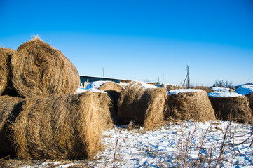 Straw haystacks