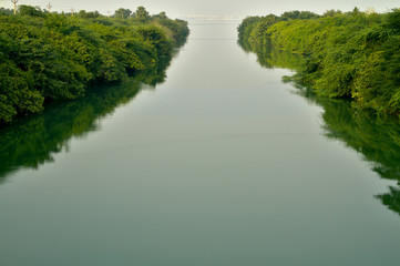 river gowdari