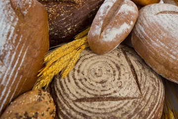 Various bread loaves