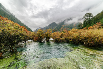 Scenic view of the Bonsai Shoals, Jiuzhai Valley National Park