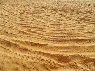 Fascinating Arabian Desert