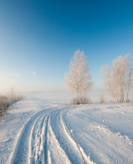 Fototapeta na wymiar Snow covered trees on snow covered landscape