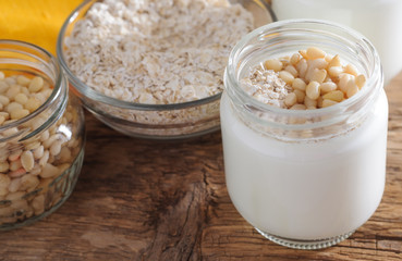 Homemade yogurt with cedar nuts, oatmeal and honey