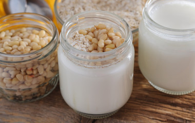 Homemade yogurt with cedar nuts, oatmeal and honey