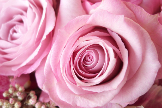 Pink roses in flower arrangement