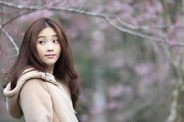 beautiful asian young woman in blooming cherry blossoms sakura