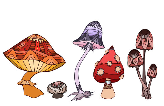 Set colorful mushrooms with boho pattern. Doodle pattern. Vector element for tattoo elements, printing on T-shirts and your creativity and design