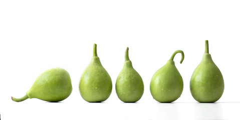bottle gourd or calabash