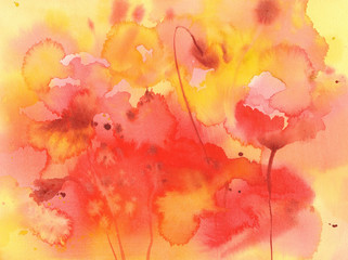 Poppies watercolor background unfinished