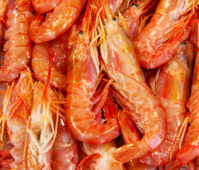 Fresh Prawns
