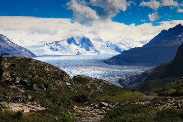 Grey Glaciar