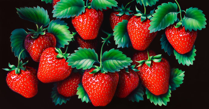Erdbeeren Illustration