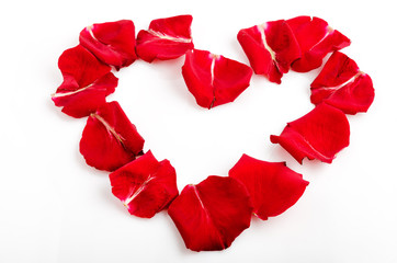 Heart shaped red rose petals on white
