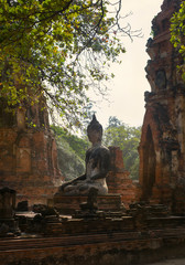 buddha statues in historical park