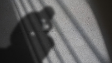 Thinker Shadow on a Cracked Concrete Wall