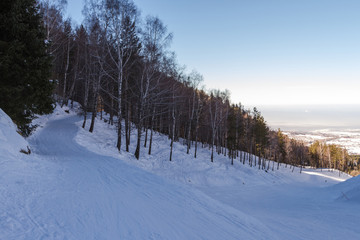 ski trail through a forest
