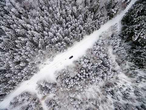 aerial view of winter forest from drone
