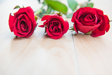 Beautiful Red rose flower on wooden background .