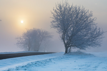 winter road sunrise