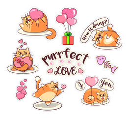 Fat cat sticker set for Saint Valentine's Day. Cartoon style design. Vector illustration with cute pet in love. Hearts, gifts, balloons on white background.