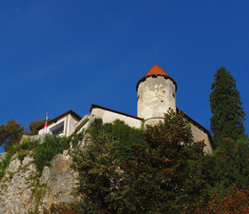 Fototapeta na wymiar Bled castle on the mountain top,Slovenia